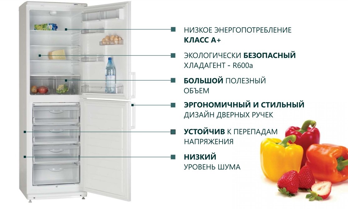 Как выбрать однодверный холодильник: типы, виды и японские модели (с ...